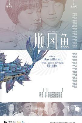 道区二区三区四区