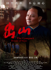 漂亮的阿姨电视剧免费播放中文版