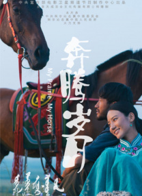 五月花网站