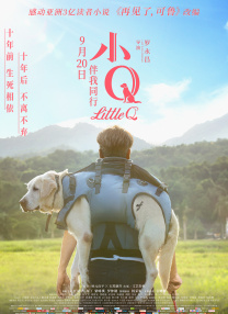 设计查看