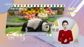 在线精品国产第一页